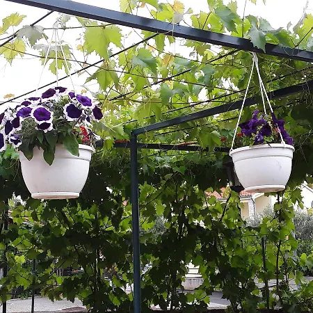 Josipa & Niki Appartement